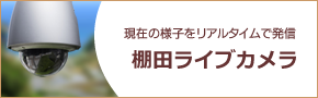 ライブカメラ（浜野浦の棚田）　サブサイト