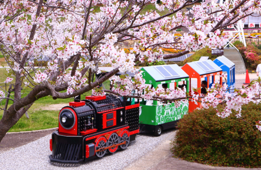 桜のトンネル～春～