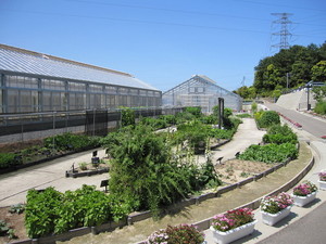 薬用植物見本園の写真2