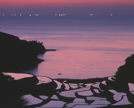 夕景の棚田の写真