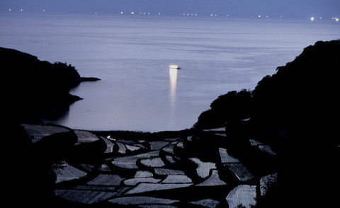 薄暮の棚田の写真