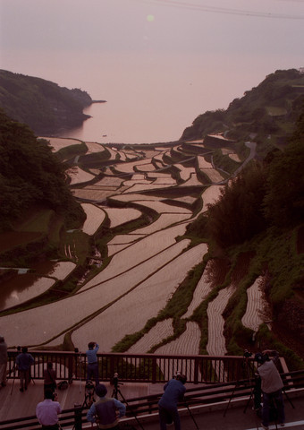 落日の棚田の写真