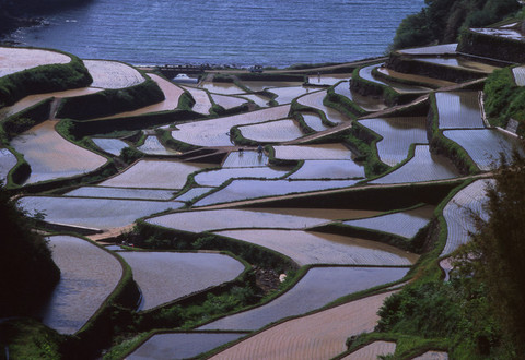 棚田の田植えへの写真