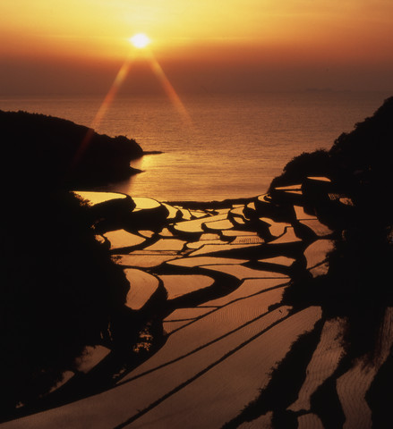 棚田と夕日の写真