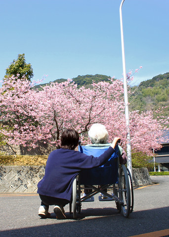 ことしも咲いたねの写真