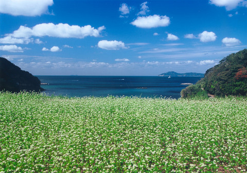 爽秋の玄海の写真