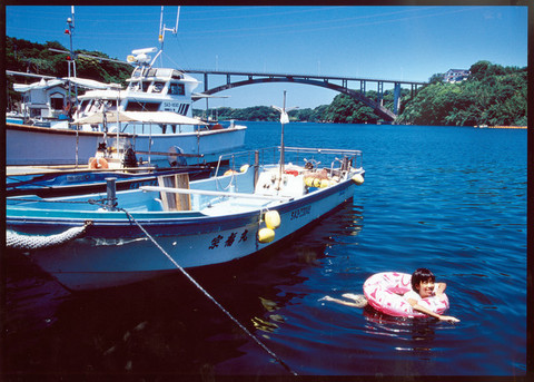 夏の海辺の写真