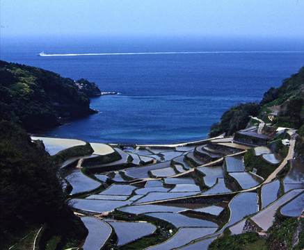 絶景の棚田の写真