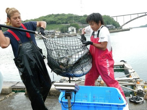 玄海原子力発電所長賞：『鮮魚はスピードだ！』の写真