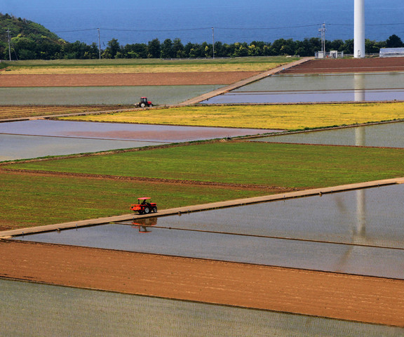 最優秀賞：『五月の普恩寺耕地』堀脇秀雄さん(長崎県長崎市)の写真