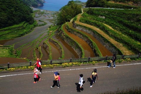 入選：『元気にウォーク』中原直樹さん(福岡県柳川市)写真