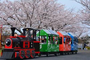 桜満開の下で