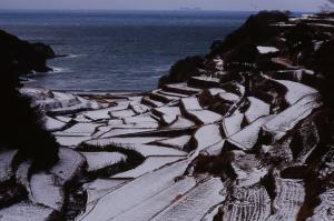 雪化粧の棚田