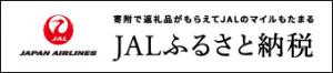 JALのふるさと納税