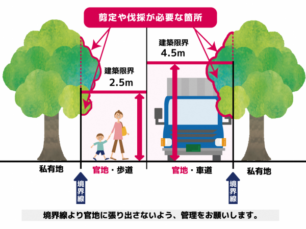 剪定や伐採が必要な個所