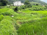 共同岩ぶろがあったとされる場所